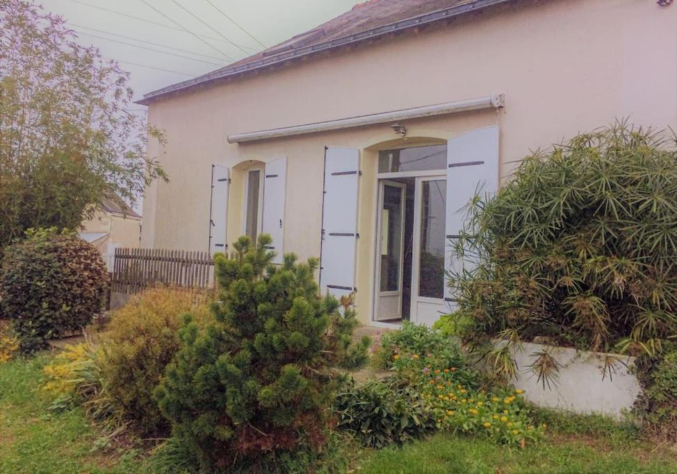 Un Gite Au Coeur Du Vignoble Chalonnes-sur-Loire Exterior photo
